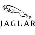 We are Jaguar specialists